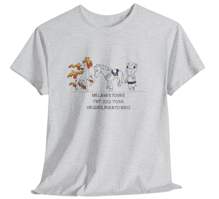 Gray T-shirt with cartoon animals, text about tours, fall leaves backdrop.