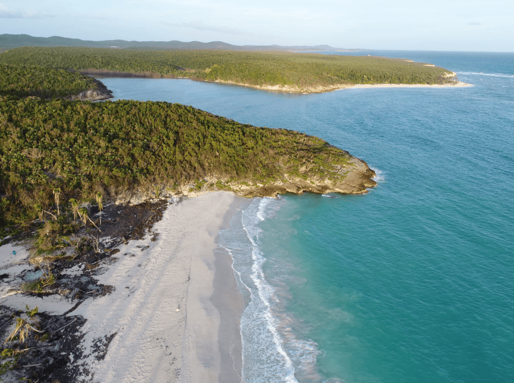Aerial view of a tropical beach with white sand and lush green forest by the blue ocean.
