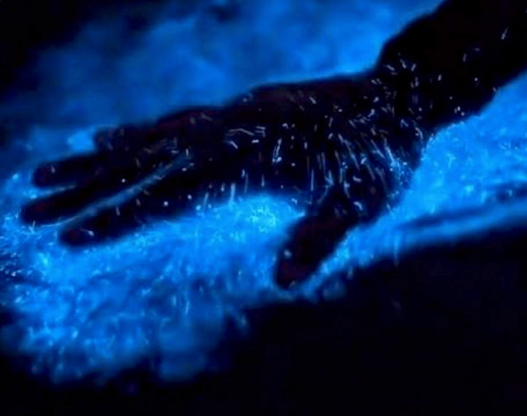 A hand touching glowing blue bioluminescent water in the dark.
