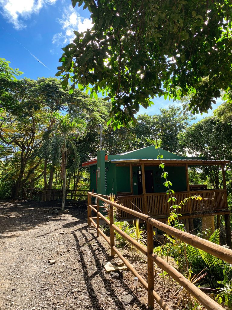 Green cabin with a wooden fence surrounded by lush trees under a blue sky.