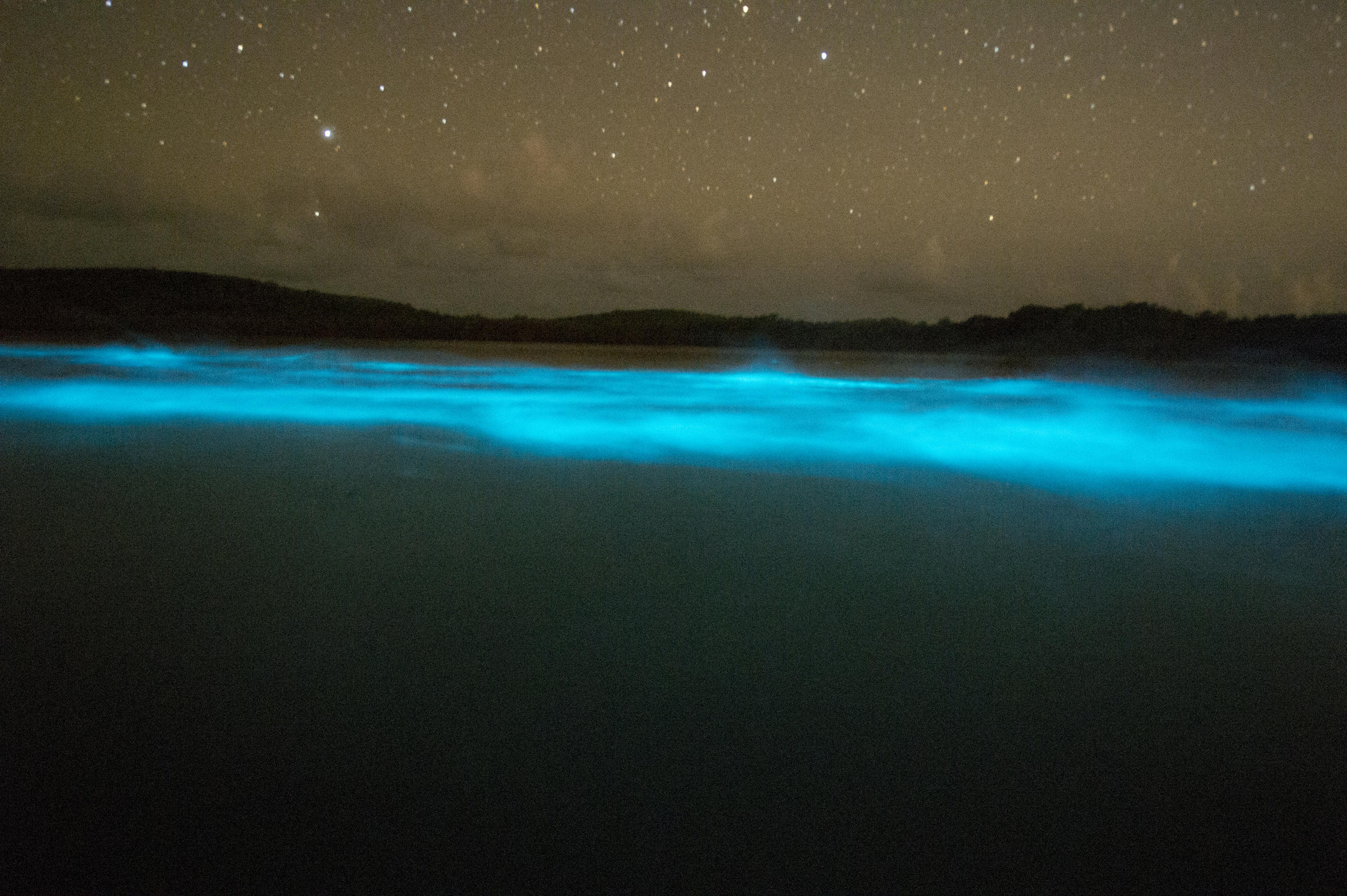 Bioluminescent blue waves under a starry night sky.