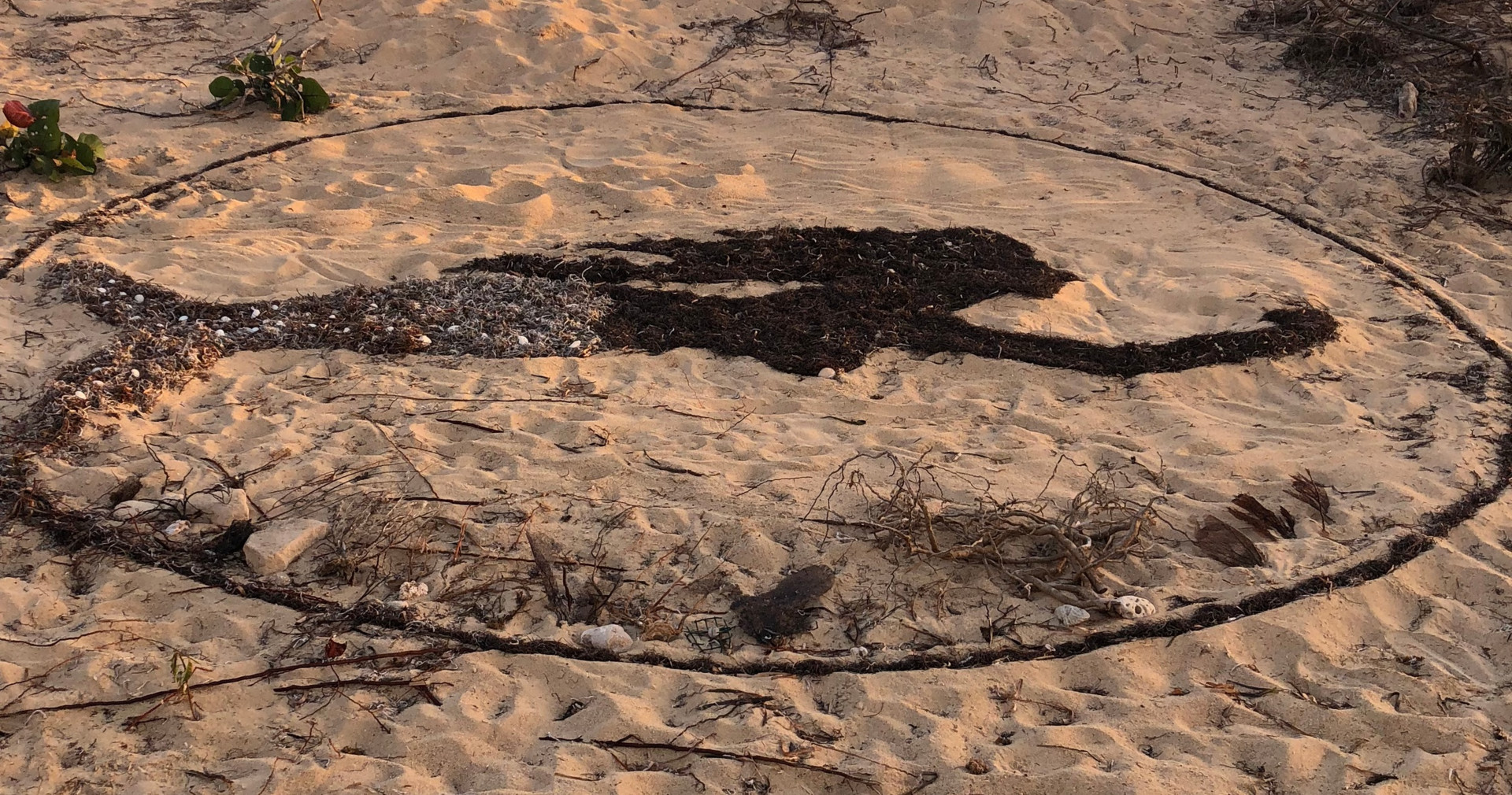 Silhouette of a swimmer outlined in sand, surrounded by a circle.