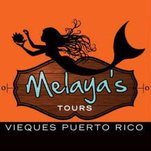 Mermaid logo for Melaya's Tours, Vieques, Puerto Rico.